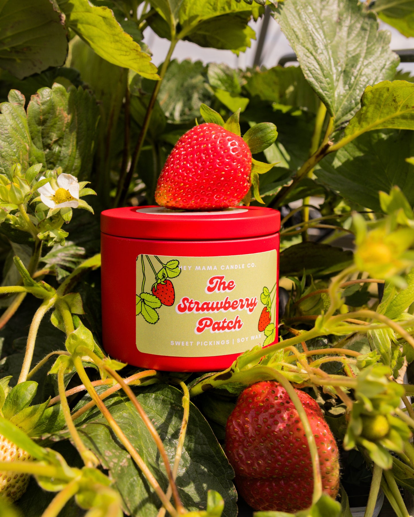 The Strawberry Patch